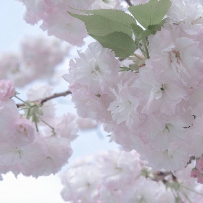 濉溪FurryQQ群介绍